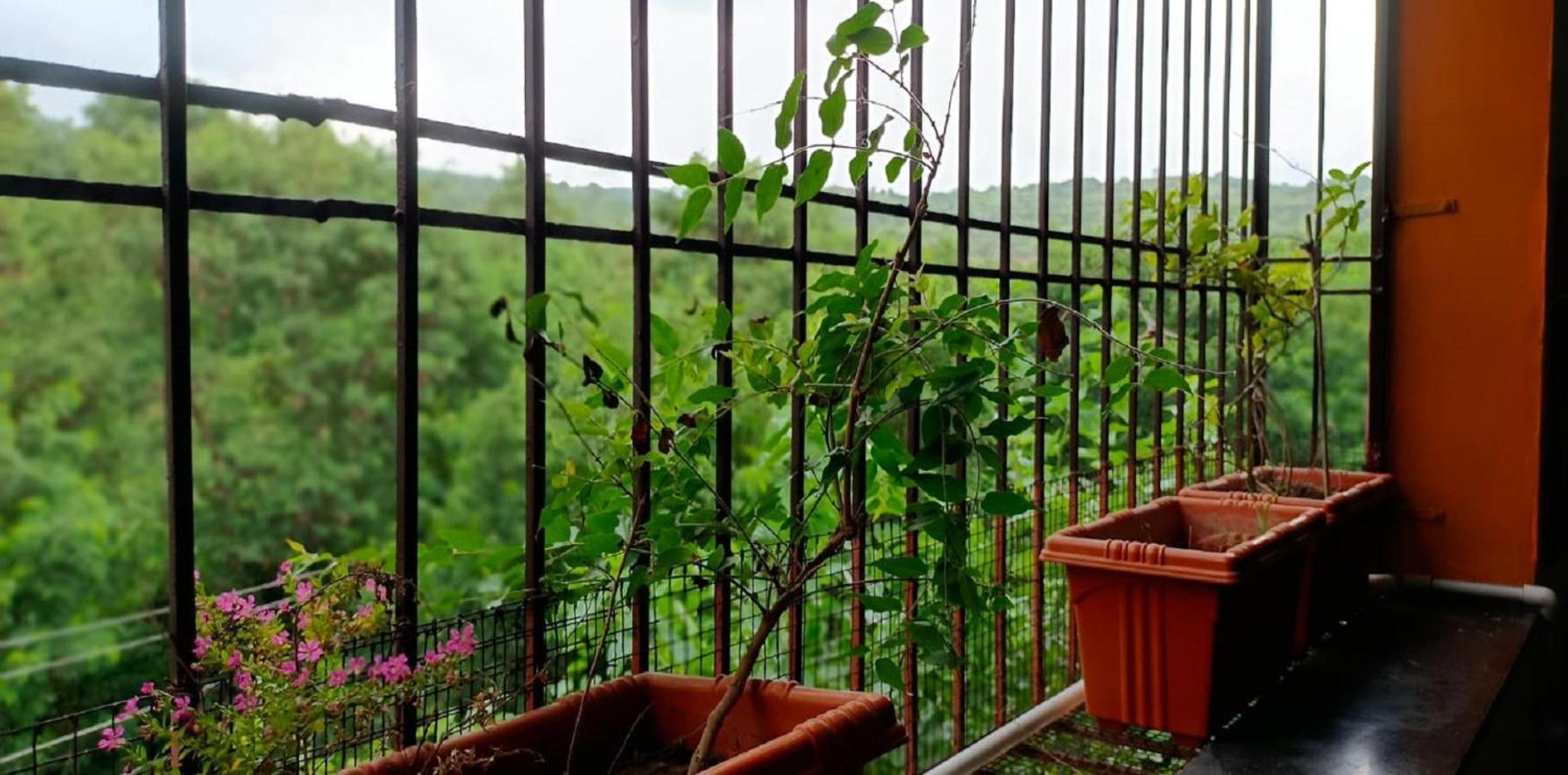 Abhayanand Agro Tourism Βίλα Ellora Εξωτερικό φωτογραφία